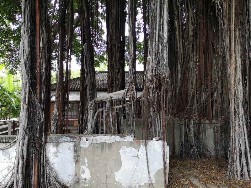 literature05 台中-文學館/州廳/市役所/Cafe 1911 日式風情半日遊