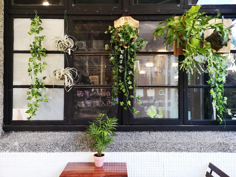 whitedeer04 板橋-白鹿咖啡 小花園的幽靜空間  有蟬聲鳥叫的午後咖啡杯