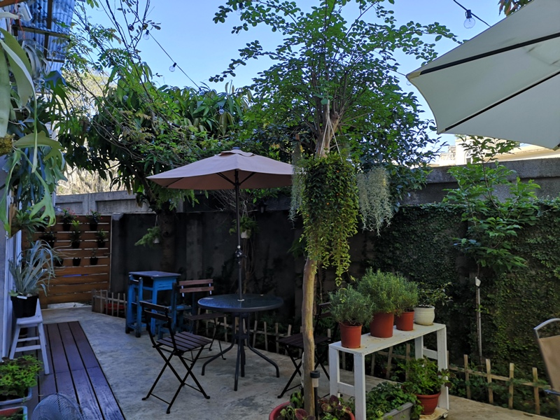 whitedeer06 板橋-白鹿咖啡 小花園的幽靜空間  有蟬聲鳥叫的午後咖啡杯