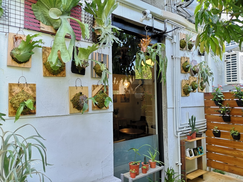 whitedeer10 板橋-白鹿咖啡 小花園的幽靜空間  有蟬聲鳥叫的午後咖啡杯