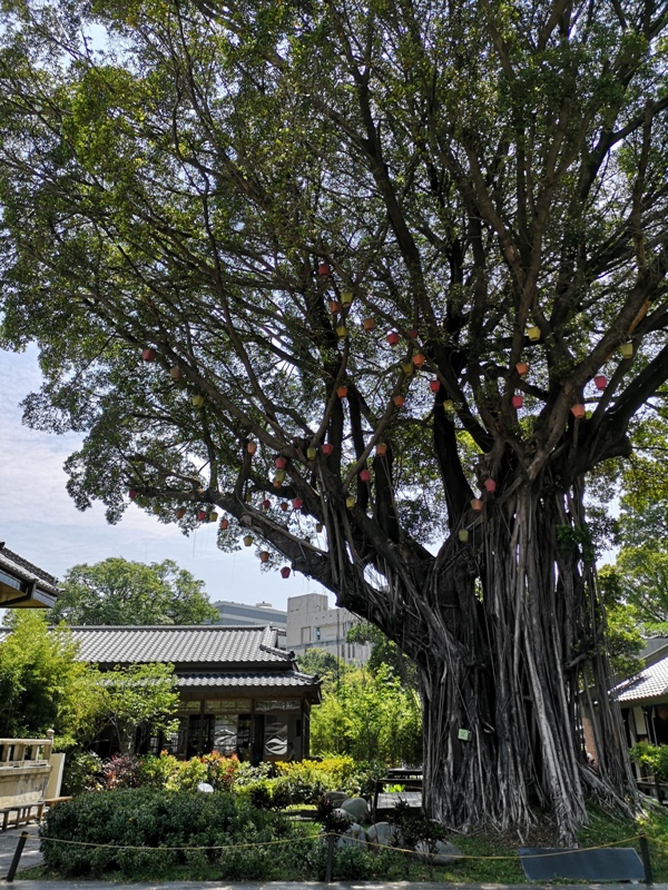 xingxing05 台中-心行茶館 刑務所武道館小書房 心行茶館的愜意的時光...