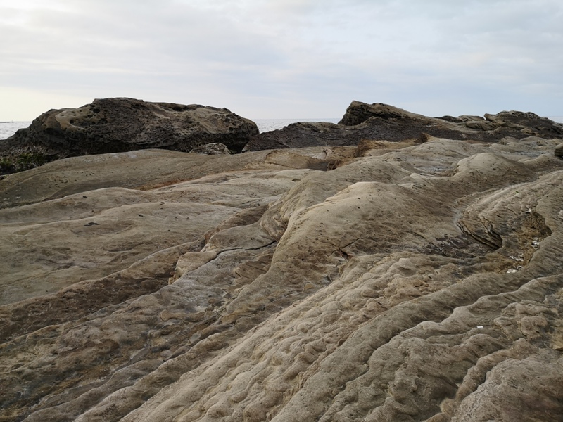 nanyarock2908 瑞芳-南雅奇岩 海狗岩霜淇淋岩...地質景觀世界馳名 走過路過還要拍過