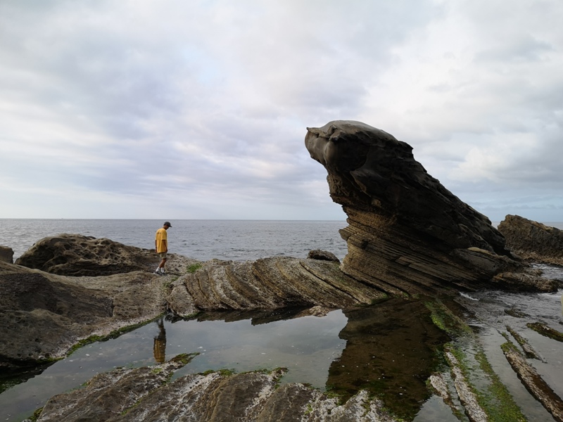 nanyarock2913 瑞芳-南雅奇岩 海狗岩霜淇淋岩...地質景觀世界馳名 走過路過還要拍過