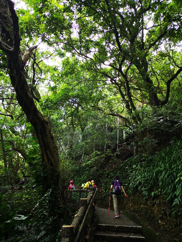 oldplace361107 士林-劍潭站到劍南路站 橫跨劍潭山  老地方觀機平台賞台北