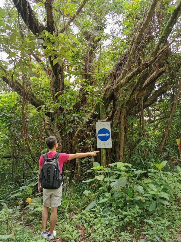 oldplace361116 士林-劍潭站到劍南路站 橫跨劍潭山  老地方觀機平台賞台北