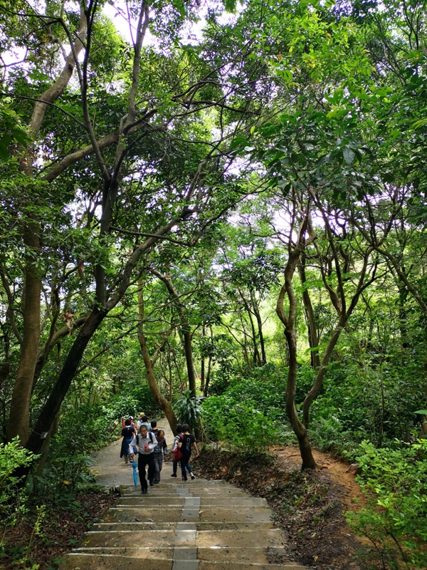 oldplace361117 士林-劍潭站到劍南路站 橫跨劍潭山  老地方觀機平台賞台北