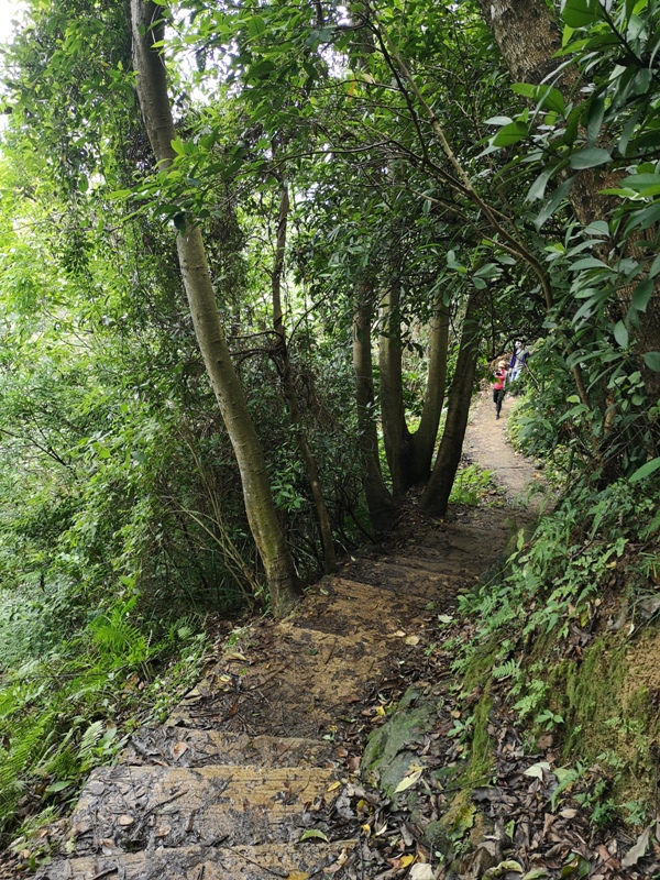 oldplace361132 士林-劍潭站到劍南路站 橫跨劍潭山  老地方觀機平台賞台北