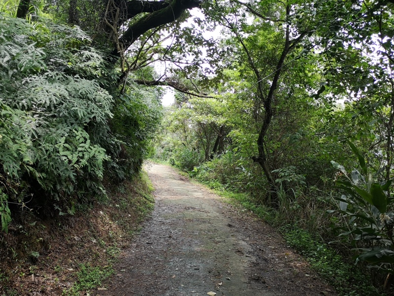 oldplace361134 士林-劍潭站到劍南路站 橫跨劍潭山  老地方觀機平台賞台北