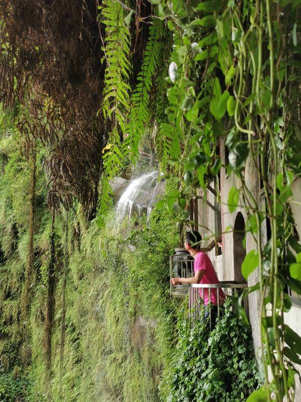 新店-貓空到銀河洞 輕鬆愜意搶當網紅