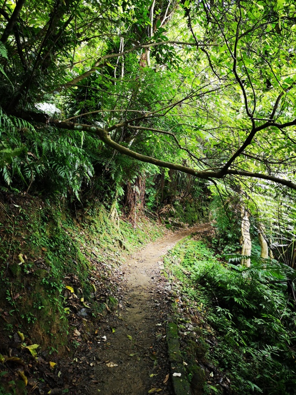 yinghecave11 新店-貓空到銀河洞 輕鬆愜意搶當網紅