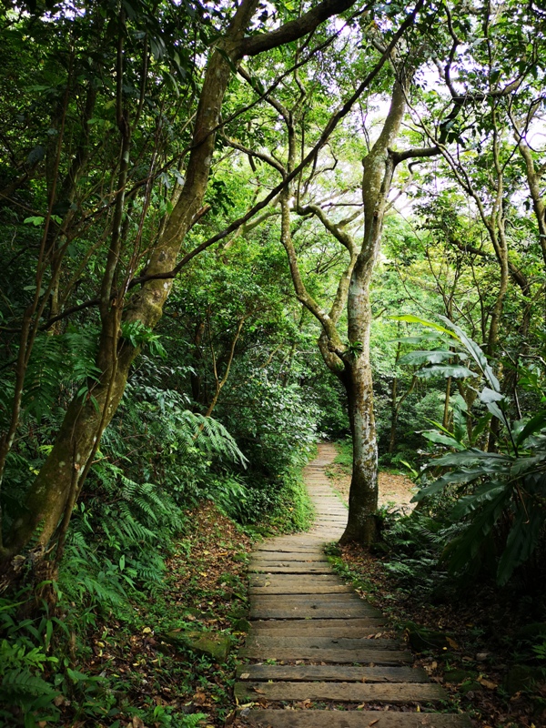 yinghecave12 新店-貓空到銀河洞 輕鬆愜意搶當網紅