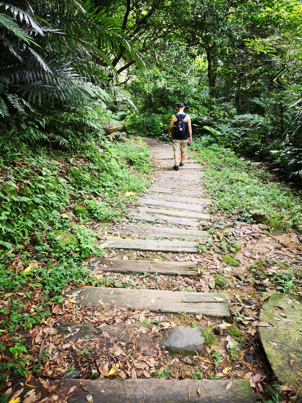 yinghecave13 新店-貓空到銀河洞 輕鬆愜意搶當網紅