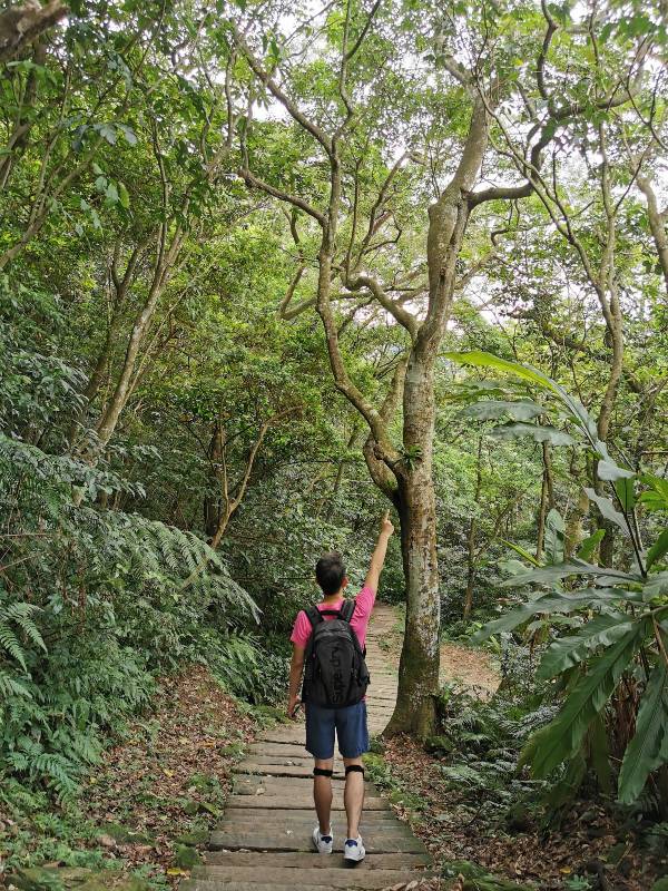 yinghecave14 新店-貓空到銀河洞 輕鬆愜意搶當網紅