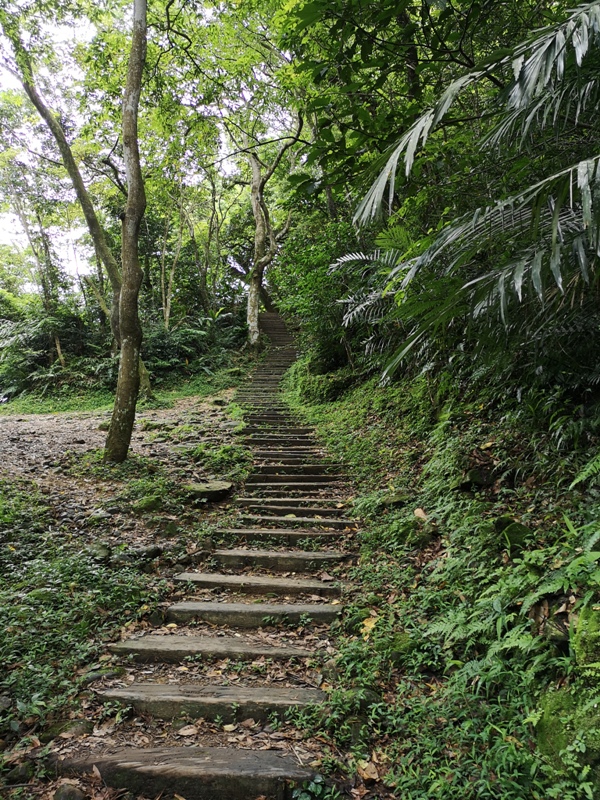 yinghecave17 新店-貓空到銀河洞 輕鬆愜意搶當網紅