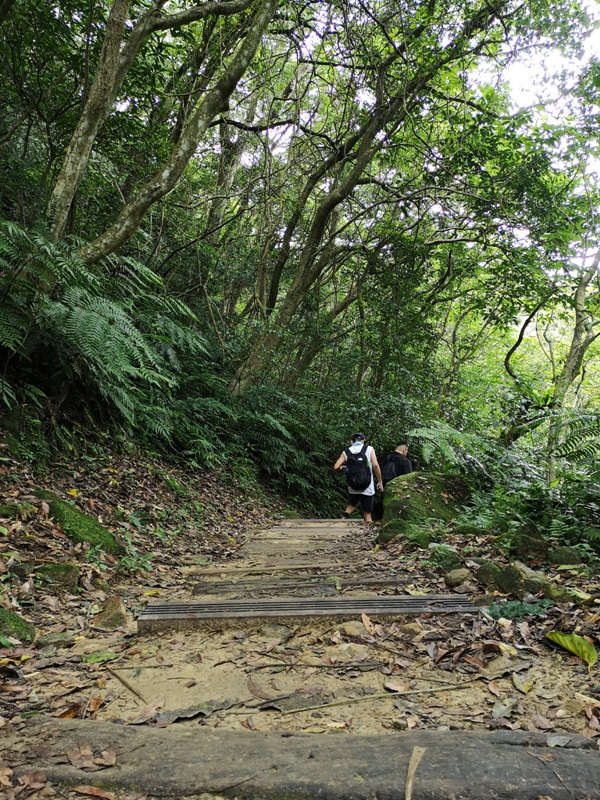 yinghecave18 新店-貓空到銀河洞 輕鬆愜意搶當網紅