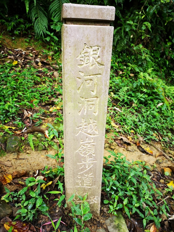 yinghecave19 新店-貓空到銀河洞 輕鬆愜意搶當網紅