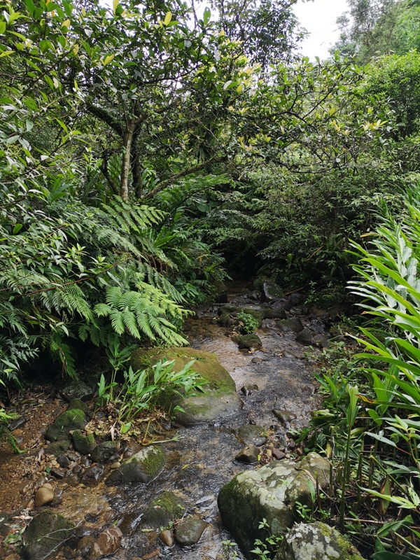 yinghecave21 新店-貓空到銀河洞 輕鬆愜意搶當網紅