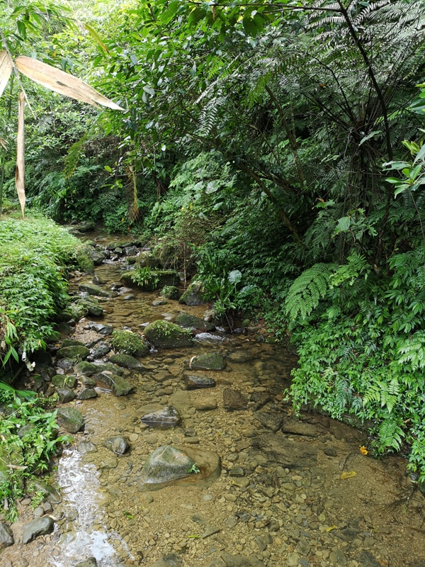 yinghecave22 新店-貓空到銀河洞 輕鬆愜意搶當網紅