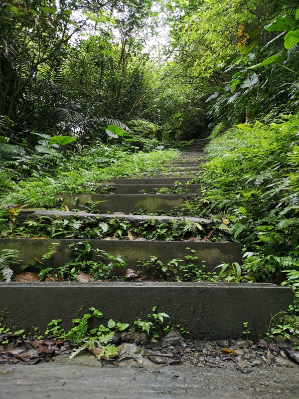 yinghecave24 新店-貓空到銀河洞 輕鬆愜意搶當網紅