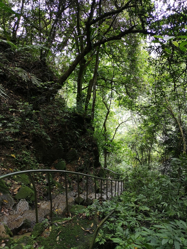 yinghecave25 新店-貓空到銀河洞 輕鬆愜意搶當網紅