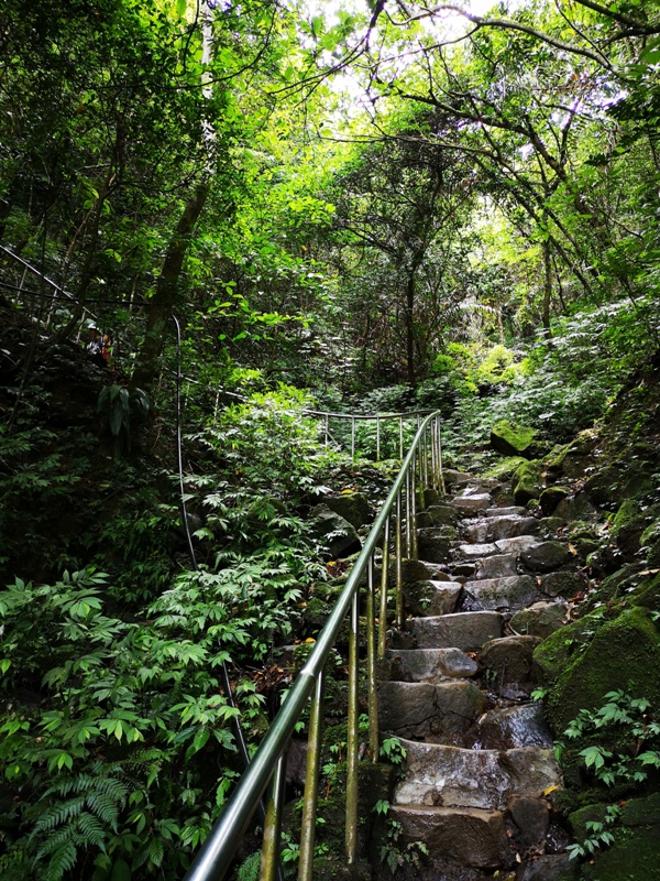 yinghecave27 新店-貓空到銀河洞 輕鬆愜意搶當網紅