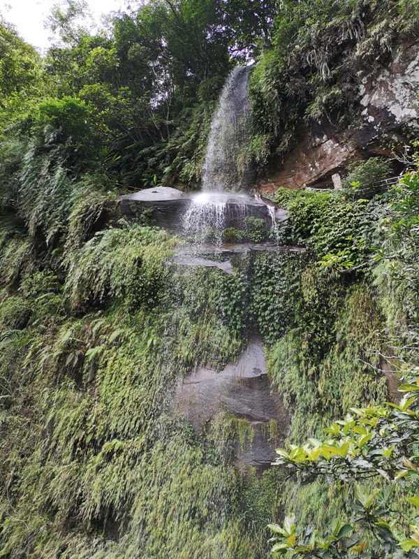 yinghecave30 新店-貓空到銀河洞 輕鬆愜意搶當網紅