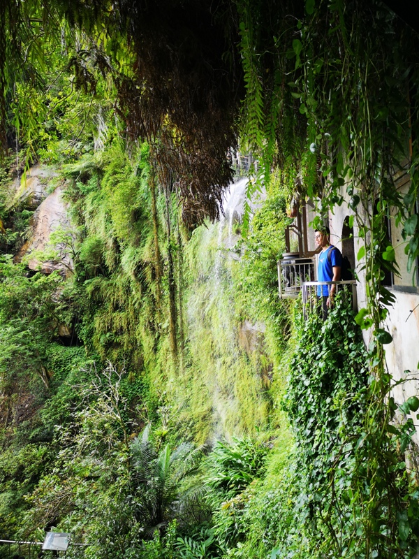 yinghecave40 新店-貓空到銀河洞 輕鬆愜意搶當網紅