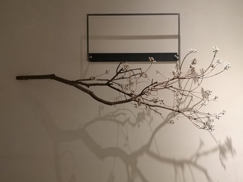 VWIbychadwang12 中山-VWI by Chad Wang冠軍咖啡的好味道 精緻的好環境