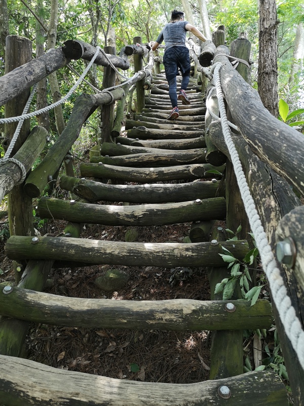 北屯-大坑步道4號 挑戰軟腳坡的起伏上下