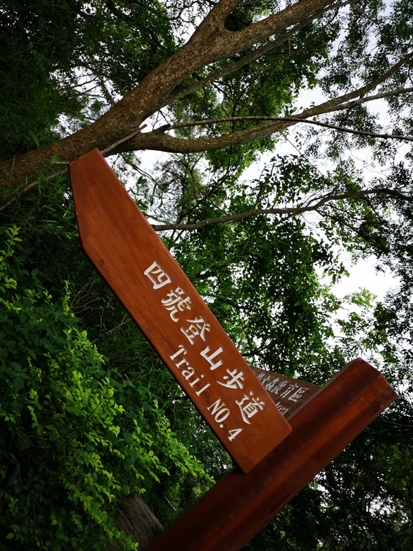 dakenno403 北屯-大坑步道4號 挑戰軟腳坡的起伏上下