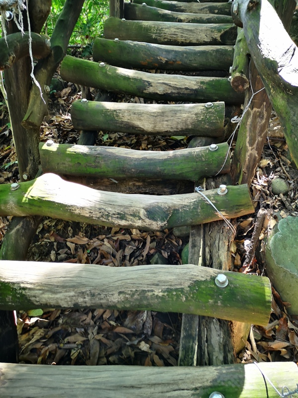 dakenno407 北屯-大坑步道4號 挑戰軟腳坡的起伏上下