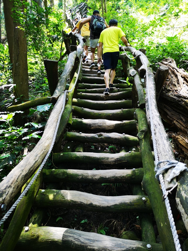 dakenno408 北屯-大坑步道4號 挑戰軟腳坡的起伏上下