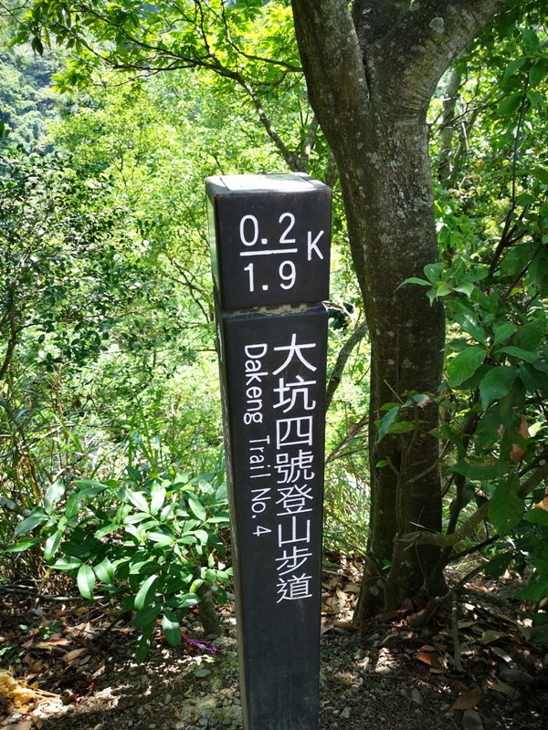 dakenno409 北屯-大坑步道4號 挑戰軟腳坡的起伏上下