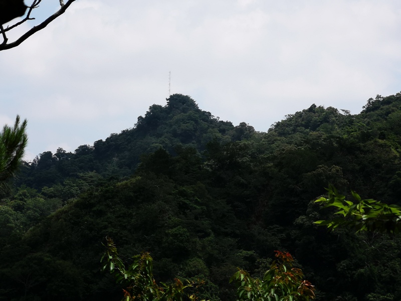 dakenno414 北屯-大坑步道4號 挑戰軟腳坡的起伏上下