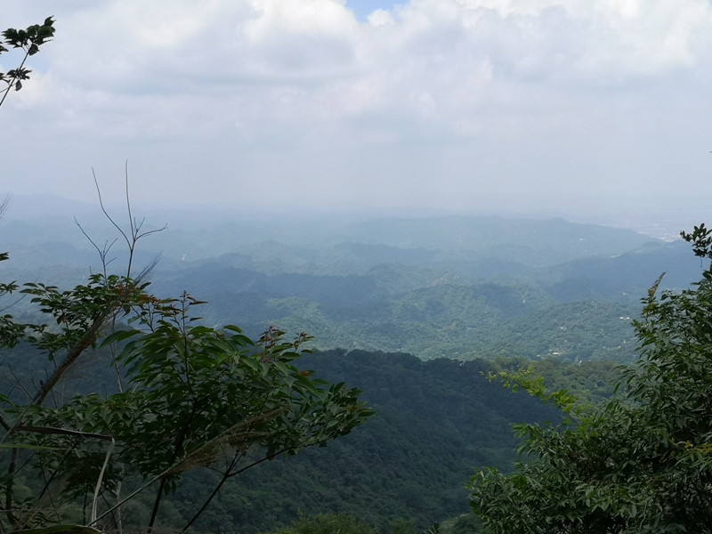 dakenno415 北屯-大坑步道4號 挑戰軟腳坡的起伏上下