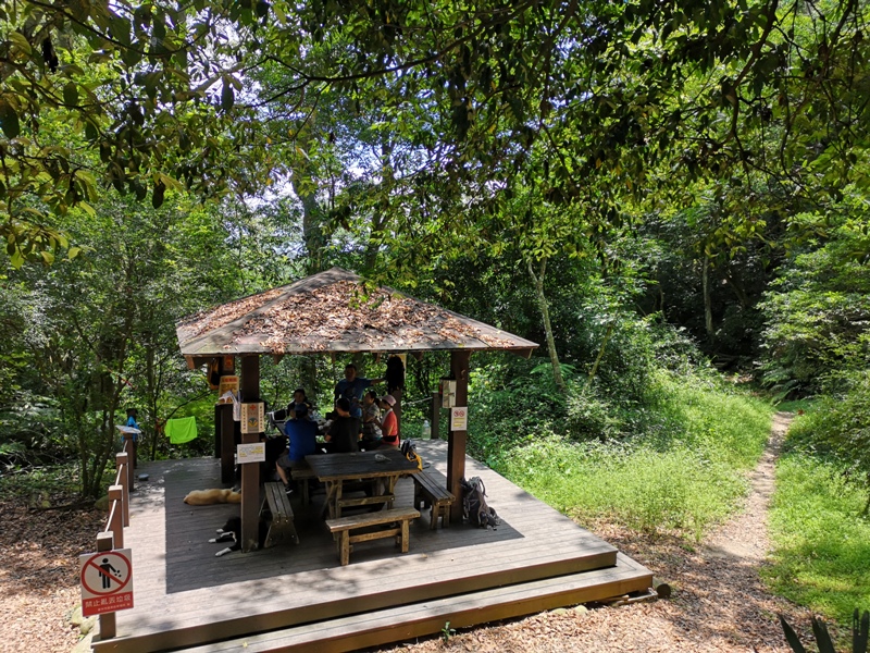 dakenno416 北屯-大坑步道4號 挑戰軟腳坡的起伏上下