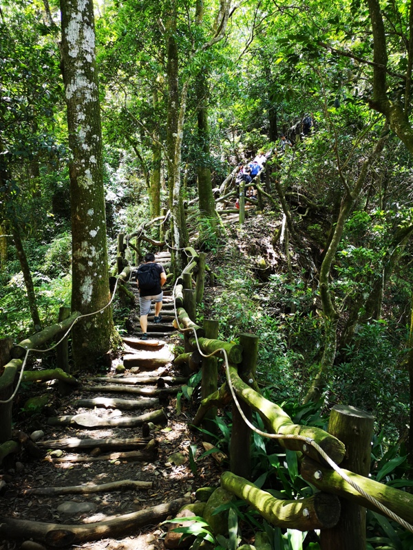dakenno417 北屯-大坑步道4號 挑戰軟腳坡的起伏上下