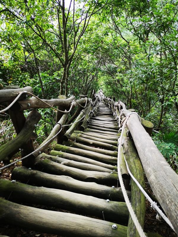 dakenno425 北屯-大坑步道4號 挑戰軟腳坡的起伏上下
