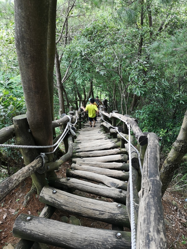 dakenno427 北屯-大坑步道4號 挑戰軟腳坡的起伏上下