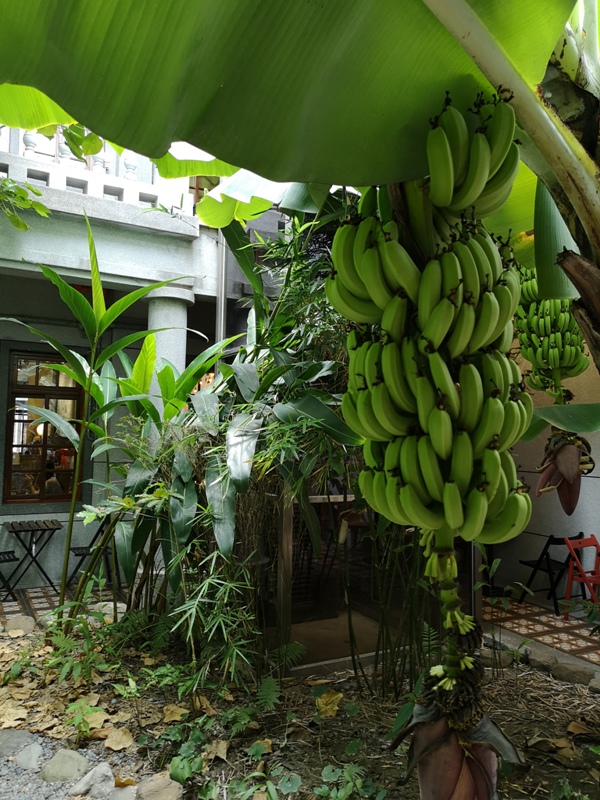 saltpeanuts13 大同-鹹花生咖啡館 大稻埕尋找大戶人家的身影 老宅新風味