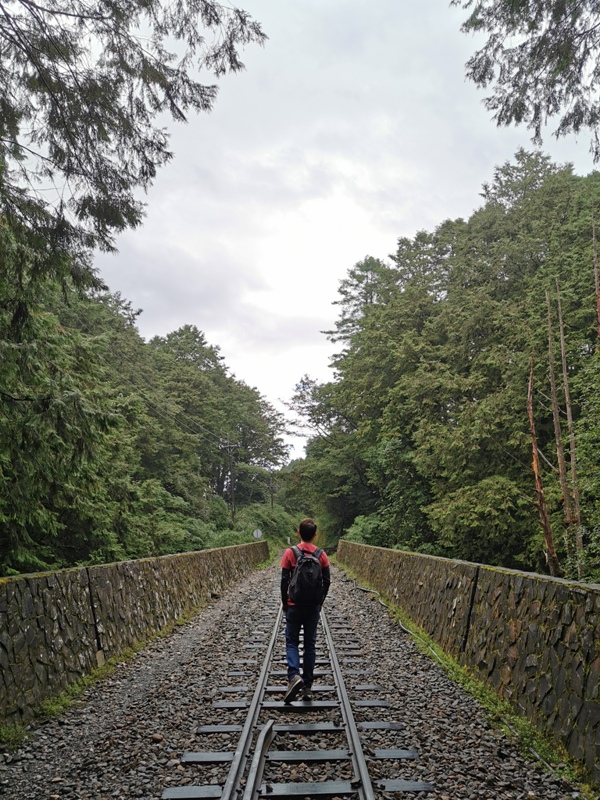 alishan010103 阿里山-從未消失的眠月線 仙境般的存在