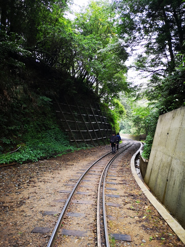 alishan010104 阿里山-從未消失的眠月線 仙境般的存在