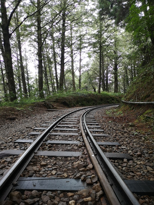 alishan010108 阿里山-從未消失的眠月線 仙境般的存在