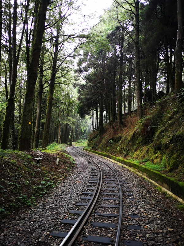 alishan010109 阿里山-從未消失的眠月線 仙境般的存在