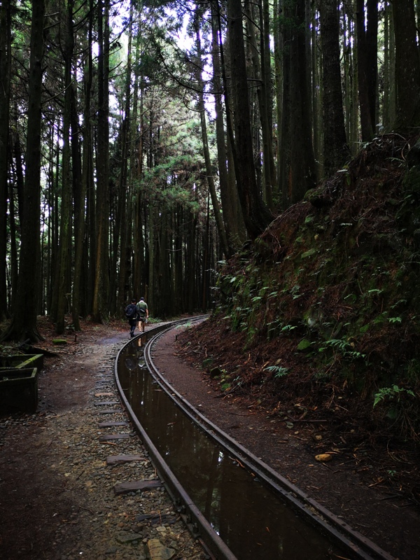 alishan010116 阿里山-從未消失的眠月線 仙境般的存在