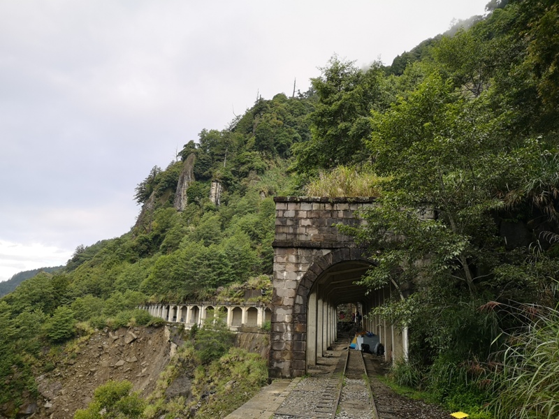 alishan010119 阿里山-從未消失的眠月線 仙境般的存在