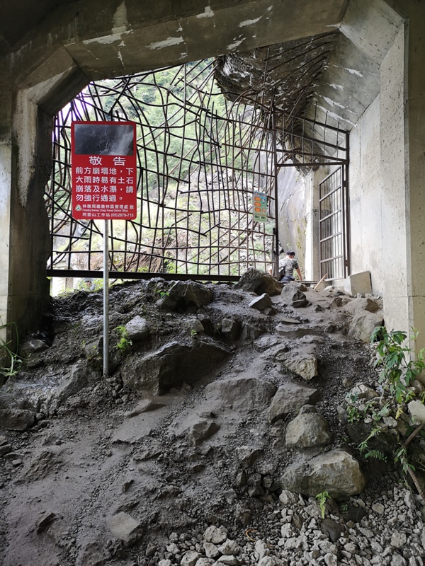 alishan010130 阿里山-從未消失的眠月線 仙境般的存在