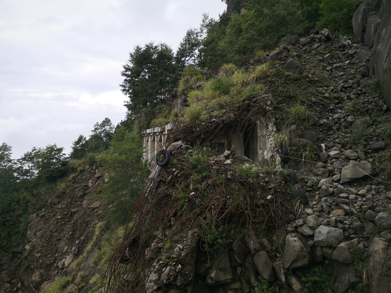 alishan010134 阿里山-從未消失的眠月線 仙境般的存在