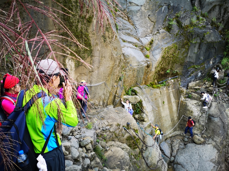 alishan0101362 阿里山-從未消失的眠月線 仙境般的存在