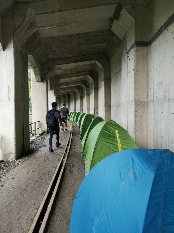 alishan010142 阿里山-從未消失的眠月線 仙境般的存在